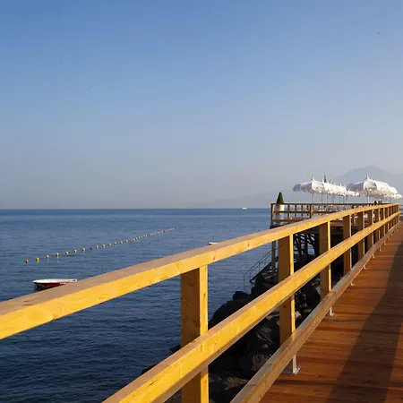 Mary ヴィーコ・エクエンセ